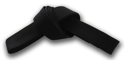 <p>black belt</p>