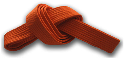 <p>orange belt</p>